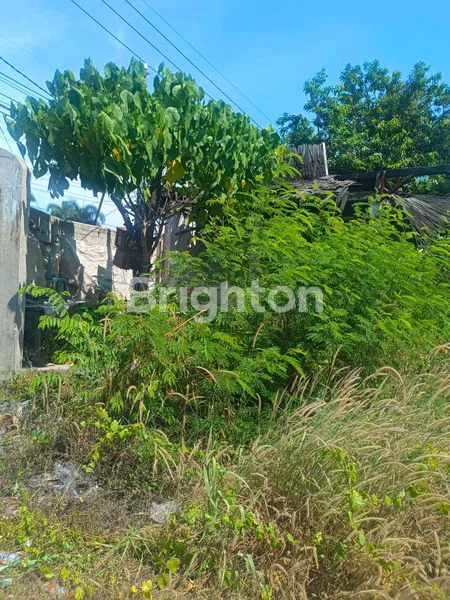 image TANAH YANG COCOK UNTUK GUDANG DAN USAHA (3)