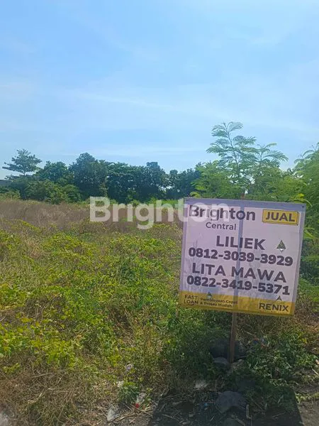 image TANAH YANG COCOK UNTUK GUDANG DAN USAHA (2)