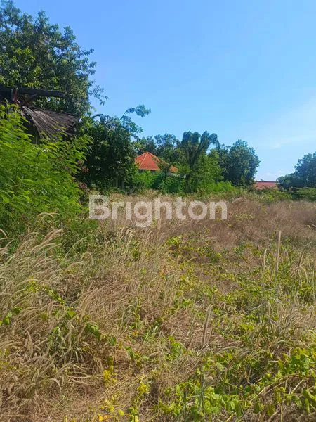 image TANAH YANG COCOK UNTUK GUDANG DAN USAHA (5)