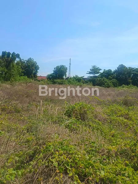 image TANAH YANG COCOK UNTUK GUDANG DAN USAHA (4)