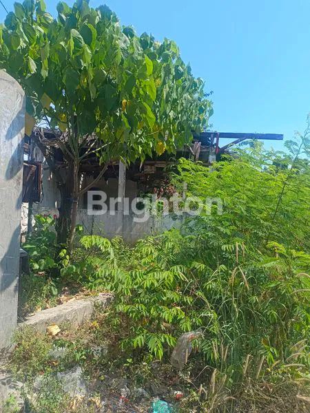 image TANAH YANG COCOK UNTUK GUDANG DAN USAHA (8)