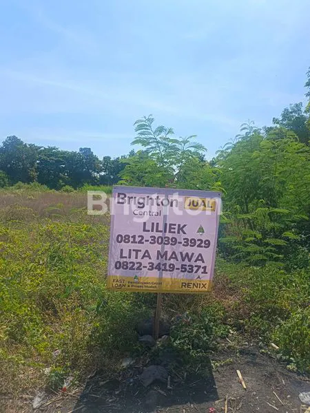 image TANAH YANG COCOK UNTUK GUDANG DAN USAHA (7)