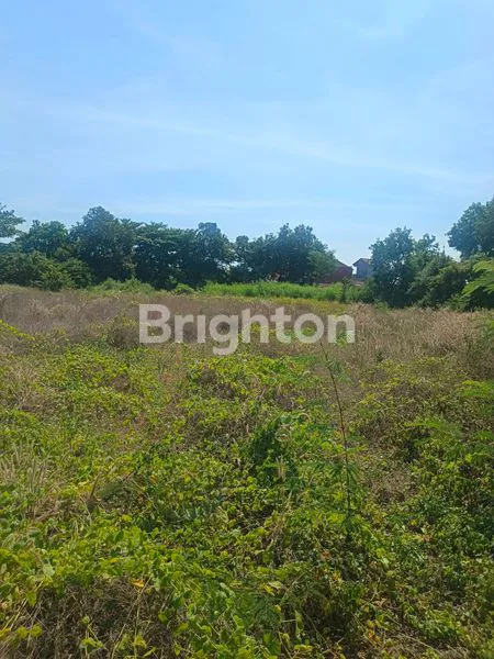 image TANAH YANG COCOK UNTUK GUDANG DAN USAHA (6)