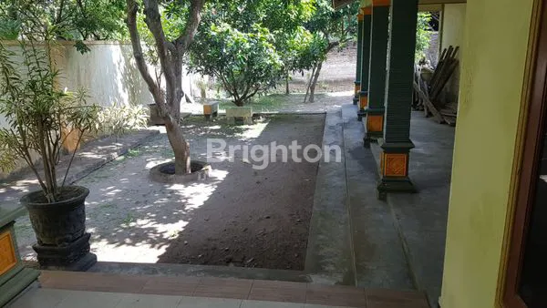 image RUMAH JOGLO ISTIMEWA DEKAT KOTA BLITAR (8)