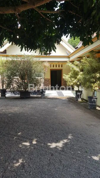 image RUMAH JOGLO ISTIMEWA DEKAT KOTA BLITAR (7)