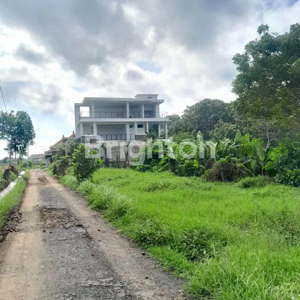 DIJUAL TANAH KOTAK SIAP BANGUN DI CEKOMARIA, DENPASAR