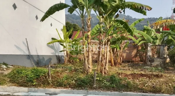 image TANAH MURAH DI WONOGIRI (1)