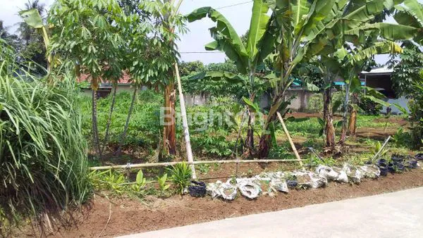 image LAHAN PINGGIR JALAN DI PERUMAHAN GEMILANG PROPERTY LIDO (1)