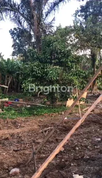 image TANAH LUASAN KECIL COCOK UNTUK TEMPAT TINGGAL ATAU USAHA (2)