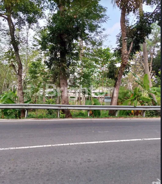 image DI JUAL CEPAT INVESTASI PROPERTI STRATEGIS! TANAH LUAS 1 HEKTAR DI KULON PROGO, COCOK UNTUK PENGINAPAN & WISATA KULINER (3)