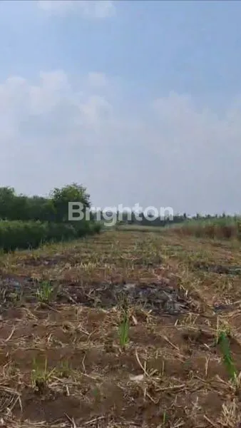 image TANAH MURAH DI DAERAH WAGIR KABUPATEN MALANG  (2)