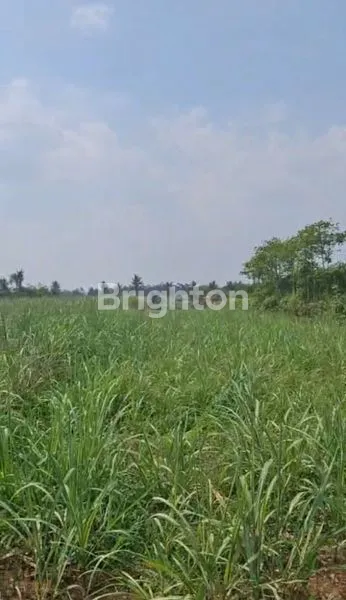 image TANAH MURAH DI DAERAH WAGIR KABUPATEN MALANG  (5)