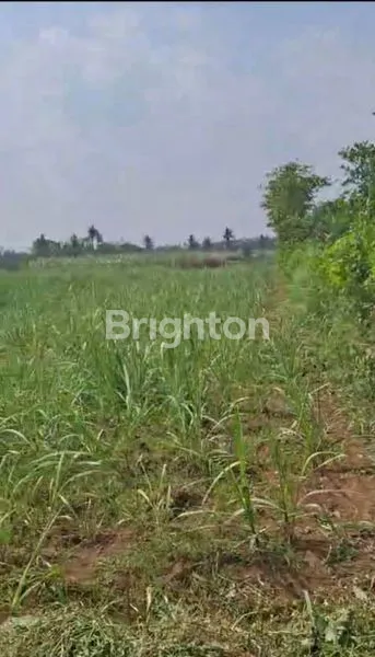 image TANAH MURAH DI DAERAH WAGIR KABUPATEN MALANG  (3)