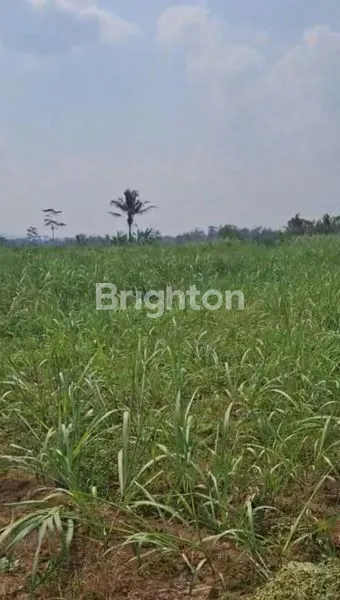 image TANAH MURAH DI DAERAH WAGIR KABUPATEN MALANG  (4)