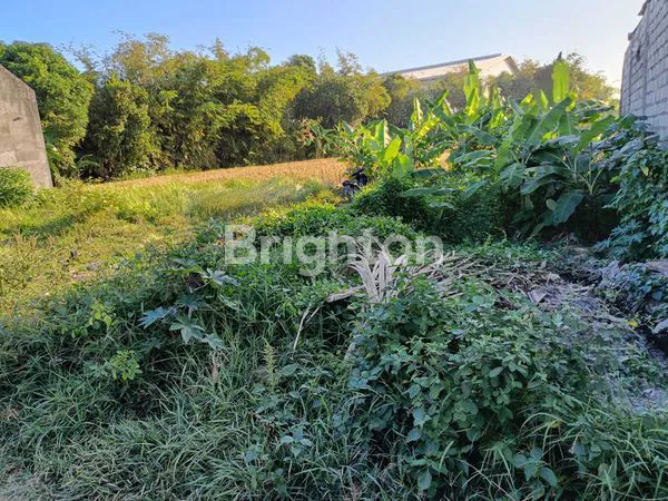 image DIJUAL TANAH STRATEGIS DEKET BY PASS MANTRA  (8)