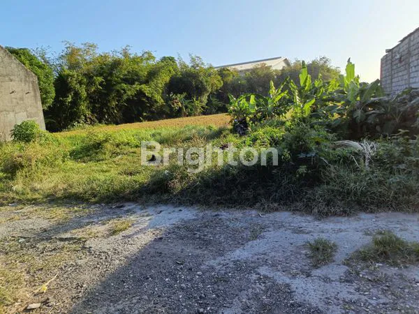 image DIJUAL TANAH STRATEGIS DEKET BY PASS MANTRA  (3)