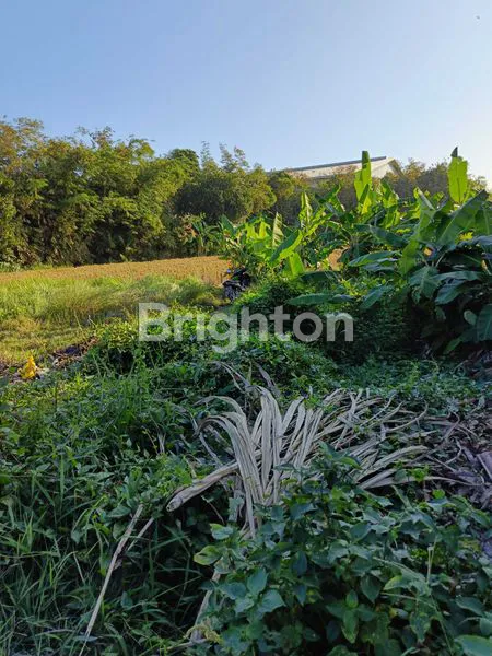 image DIJUAL TANAH STRATEGIS DEKET BY PASS MANTRA  (4)