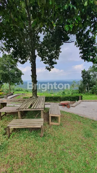 image TANAH 40 ARE UNTUK VILLA DI KEMETUG, KAWASAN WISATA ALAM GUNUNG SALAK, TABANAN (5)