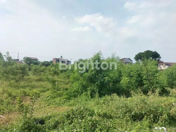 image TANAH STRATEGIS NGUMBAN SURBAKTI 6.293M² (5)