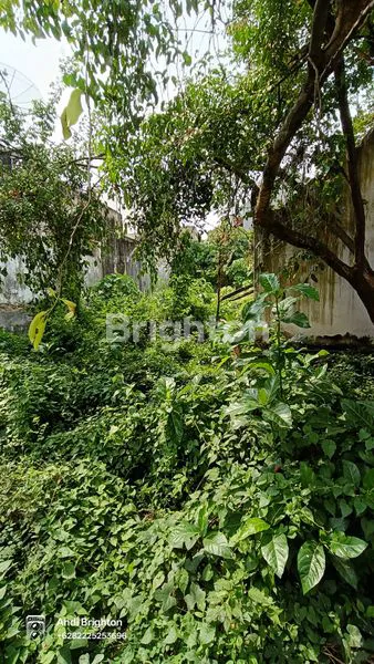 image RUMAH KUNO DENGAN HALAMAN LUAS DI PUSAT KOTA JOMBANG (8)