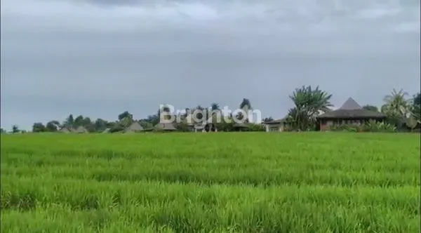 image TANAH STRATEGIS DI TANGGUNTITI SELEMADEG , TABANAN - DEKAT LOKASI ALAMI BOUTIQUE VILLAS & RESORT (3)