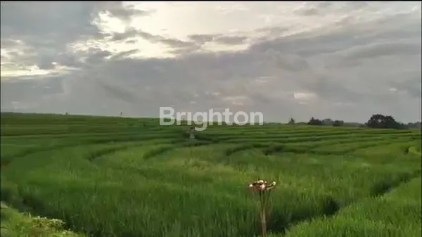 image TANAH STRATEGIS DI TANGGUNTITI SELEMADEG , TABANAN - DEKAT LOKASI ALAMI BOUTIQUE VILLAS & RESORT (4)