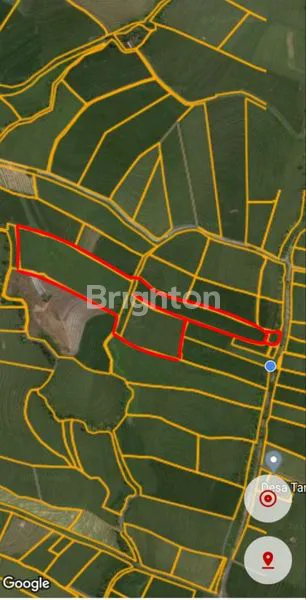 image TANAH STRATEGIS DI TANGGUNTITI SELEMADEG , TABANAN - DEKAT LOKASI ALAMI BOUTIQUE VILLAS & RESORT (5)