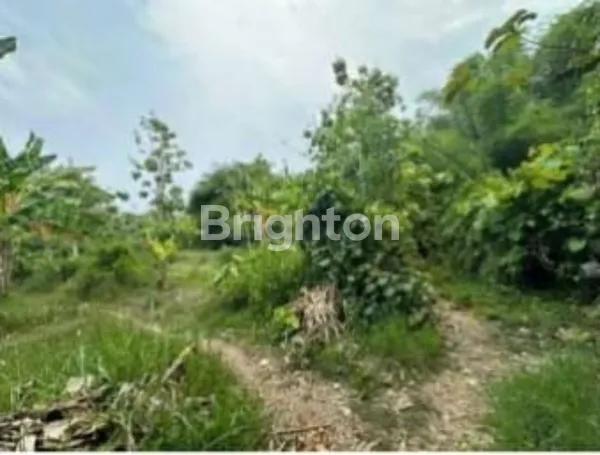 image TANAH LUAS POTENSIAL DI KAWASAN GEROKGAK (2)