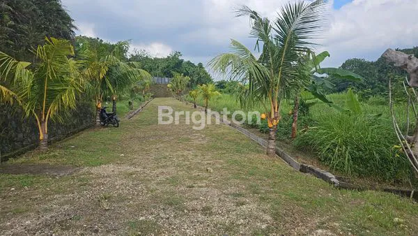 image TANAH KAPLING KUTUH TABANAN 40 MENIT CANGGU (7)