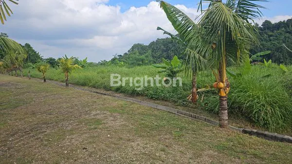 image TANAH KAPLING KUTUH TABANAN 40 MENIT CANGGU (8)