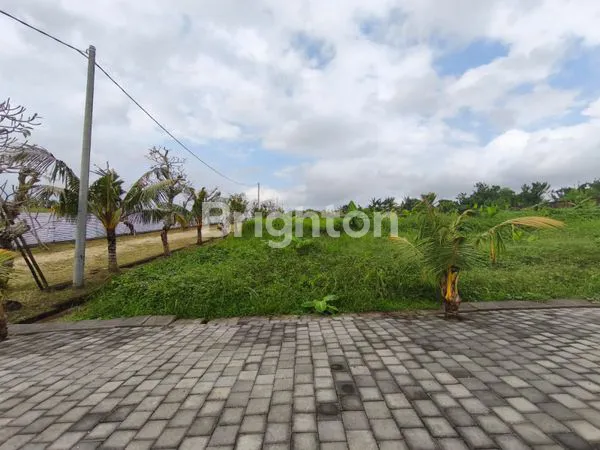 image TANAH KAPLING KUTUH TABANAN 40 MENIT CANGGU (4)