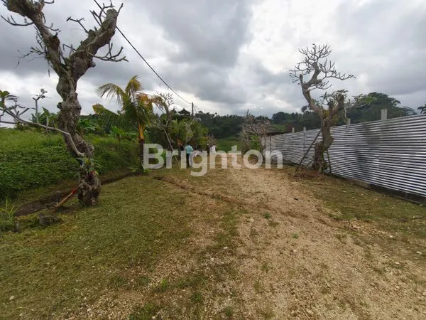 image TANAH KAPLING KUTUH TABANAN 40 MENIT CANGGU (2)