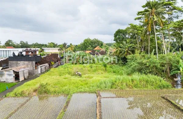 image TANAH LEASEHOLD UNTUK PENGEMBANGAN VILLA DI CEPAKA, TABANAN – 16,91 ARE (7)