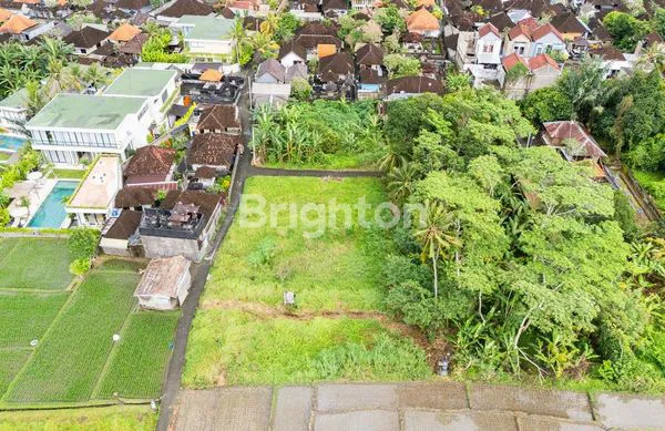 image TANAH LEASEHOLD UNTUK PENGEMBANGAN VILLA DI CEPAKA, TABANAN – 16,91 ARE (3)