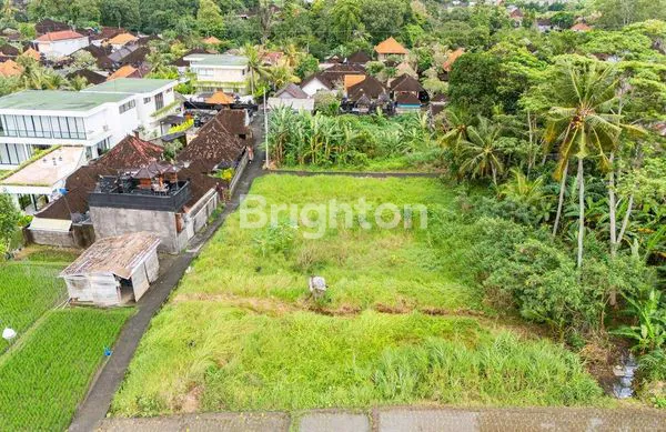 image TANAH LEASEHOLD UNTUK PENGEMBANGAN VILLA DI CEPAKA, TABANAN – 16,91 ARE (5)