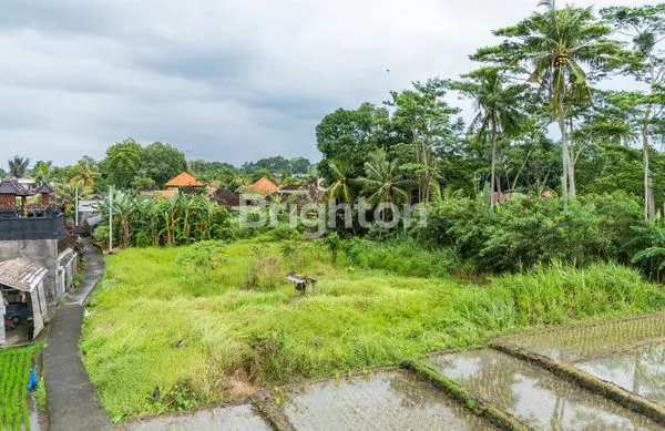 image TANAH LEASEHOLD UNTUK PENGEMBANGAN VILLA DI CEPAKA, TABANAN – 16,91 ARE (6)