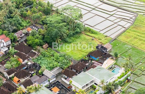 image TANAH LEASEHOLD UNTUK PENGEMBANGAN VILLA DI CEPAKA, TABANAN – 16,91 ARE (2)