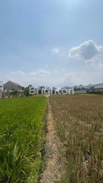 image TANAH INDUSTRI PREMIUM 6300M² TEPI JALAN RAYA PAKISAJI MALANG (2)