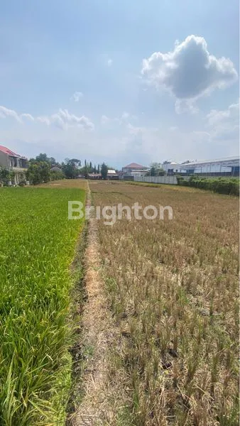 image TANAH INDUSTRI PREMIUM 6300M² TEPI JALAN RAYA PAKISAJI MALANG (6)