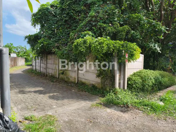 image TANAH KAVLING COCOK UNTUK RUMAH DAN VILLA LINGKUNGAN TENANG DAN NYAMAN DIAREA PERERENAN (2)