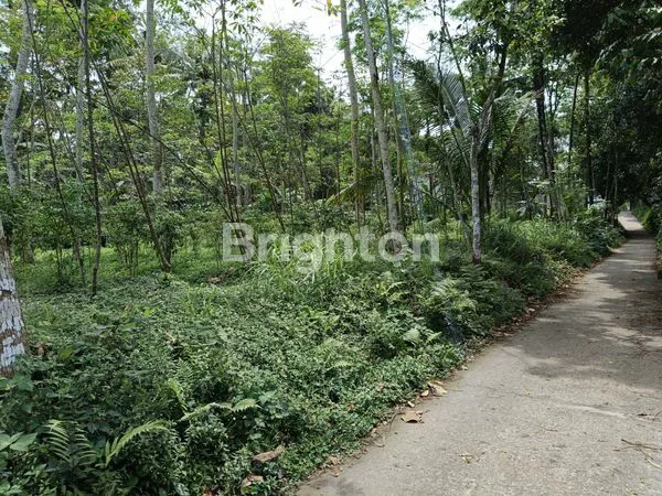 image JUAL TANAH KAWASAN INDUSTRI SALATIGA MURAH  (1)