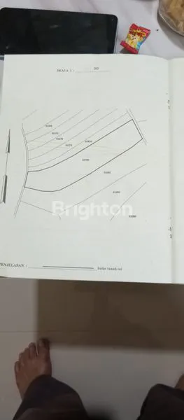 image JUAL TANAH GEDONG SONGO BANDUNGAN  MURAH  (4)