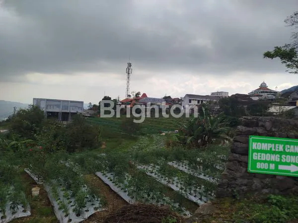image JUAL TANAH GEDONG SONGO BANDUNGAN  MURAH  (3)