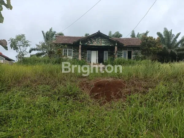 VILLA SATU LANTAI SELUAS 1250 M2 AMAN DAN NYAMAN AREANYA SEJUK SUKABUMI JAWA BARAT