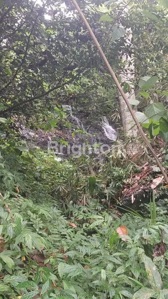 TANAH LOS PANTAI, KECAMATAN SELEMADEG BARAT