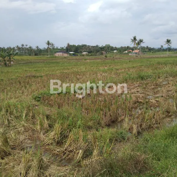 image DIJUAL TANAH BERLOKASI DI NATAR  (1)