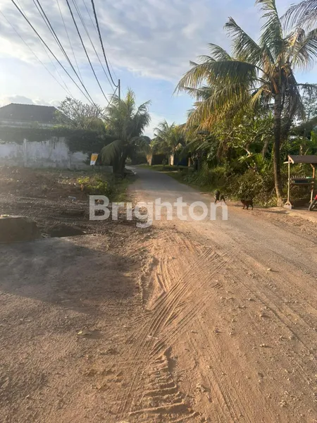 image TANAH KAVLINGAN (2)