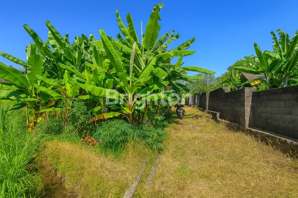 image TANAH STRATEGIS LINGKUNGAN TENANG DEKAT FASILITAS UMUM (2)