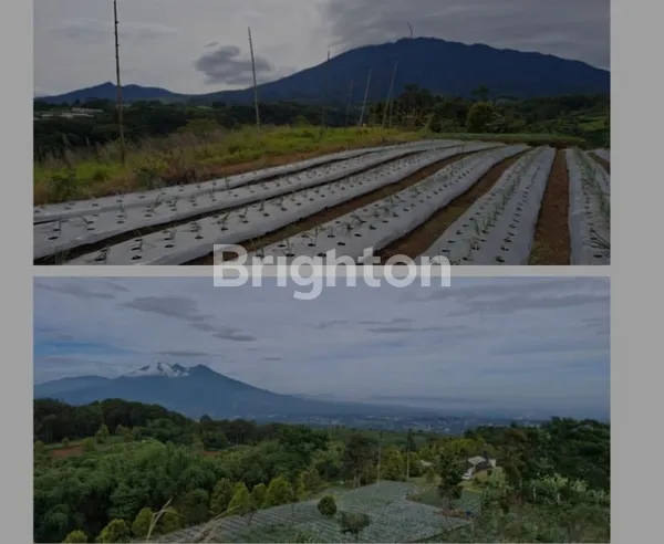 image DIJUAL TANAH LUAS & MURAH – 25-50 HA CIAWI BOGOR (1)