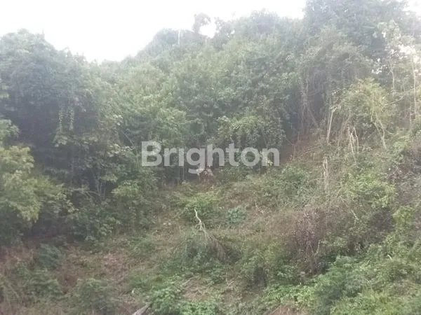 image LOK BAHU TANAH COCOK PERUMAHAN (3)